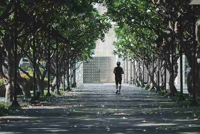 黑马·51网网址深度测评:价值拼图·年度精选